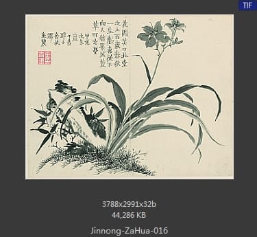 金农-杂画