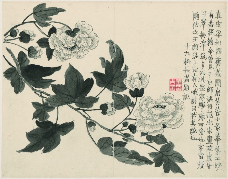 杂画