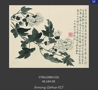 金农-杂画