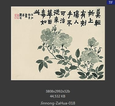 金农-杂画