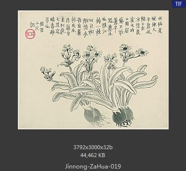 金农-杂画