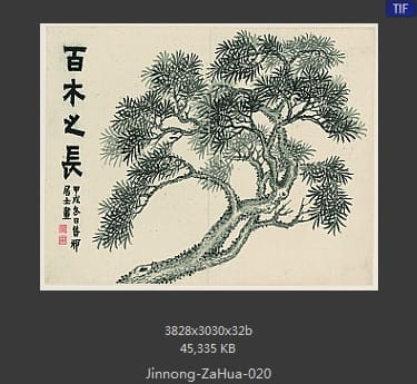 金农-杂画