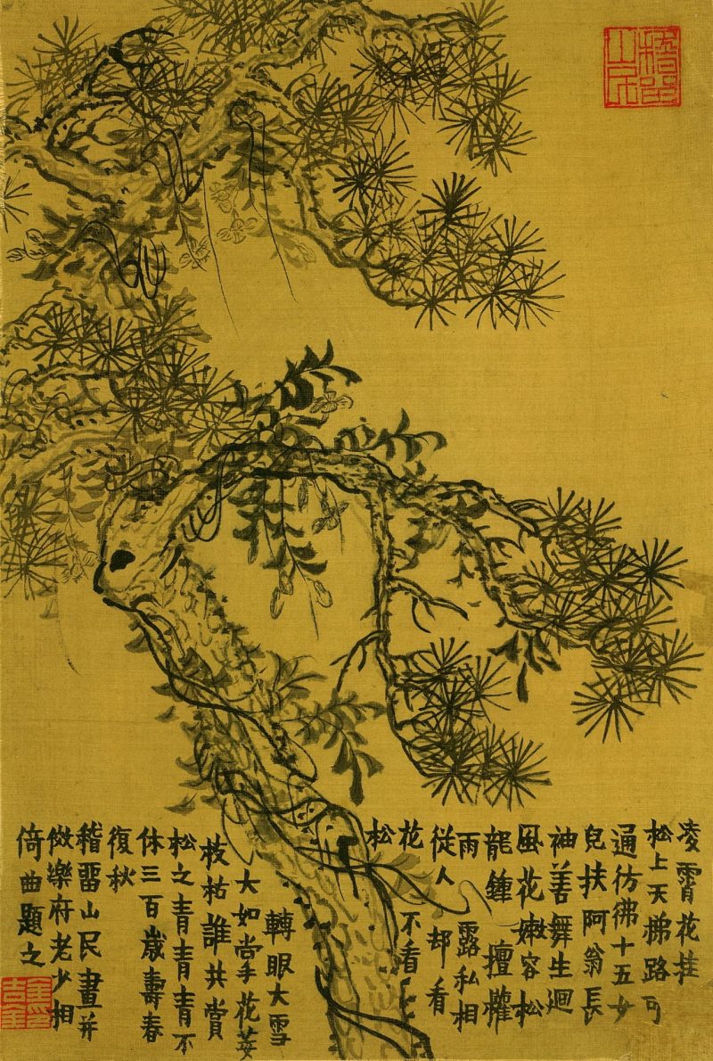 杂画