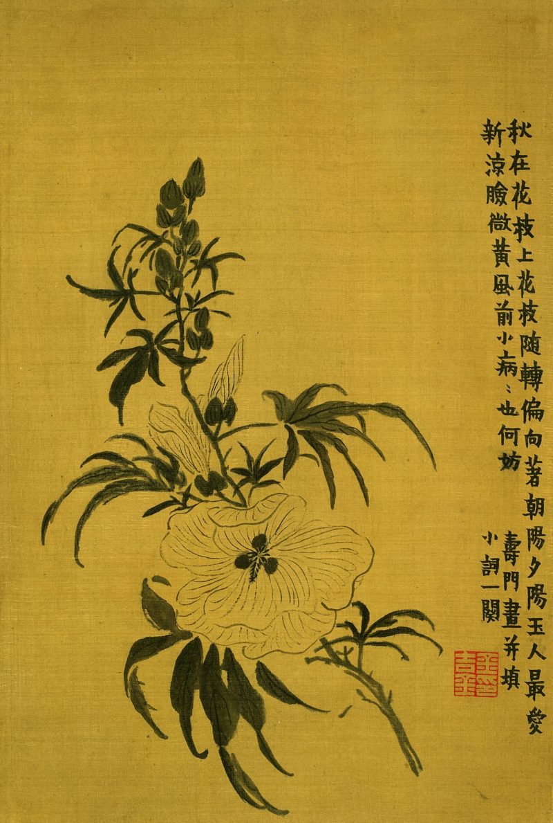 杂画