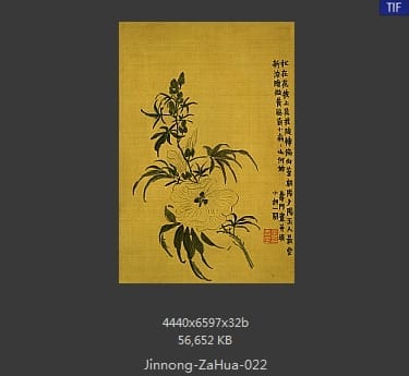 金农-杂画