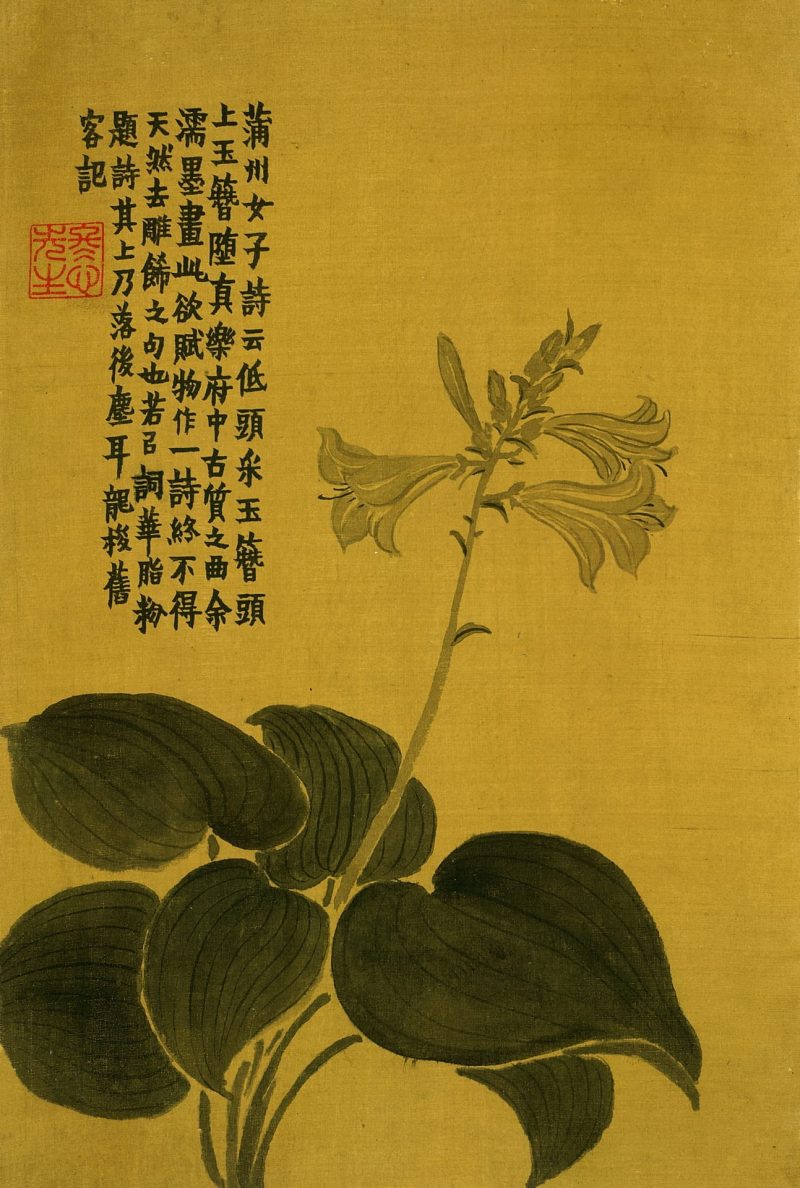 杂画