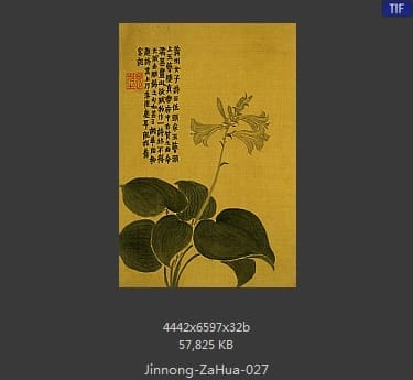 金农-杂画