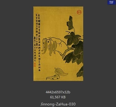 金农-杂画