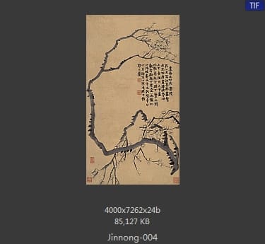 金农-梅花图