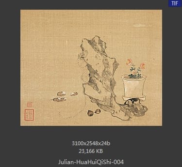 居廉-花卉奇石册