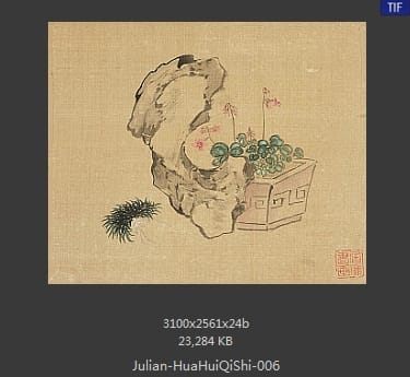 居廉-花卉奇石册