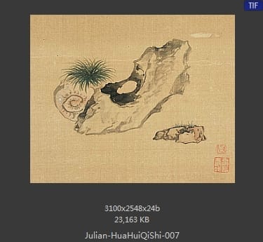 居廉-花卉奇石册