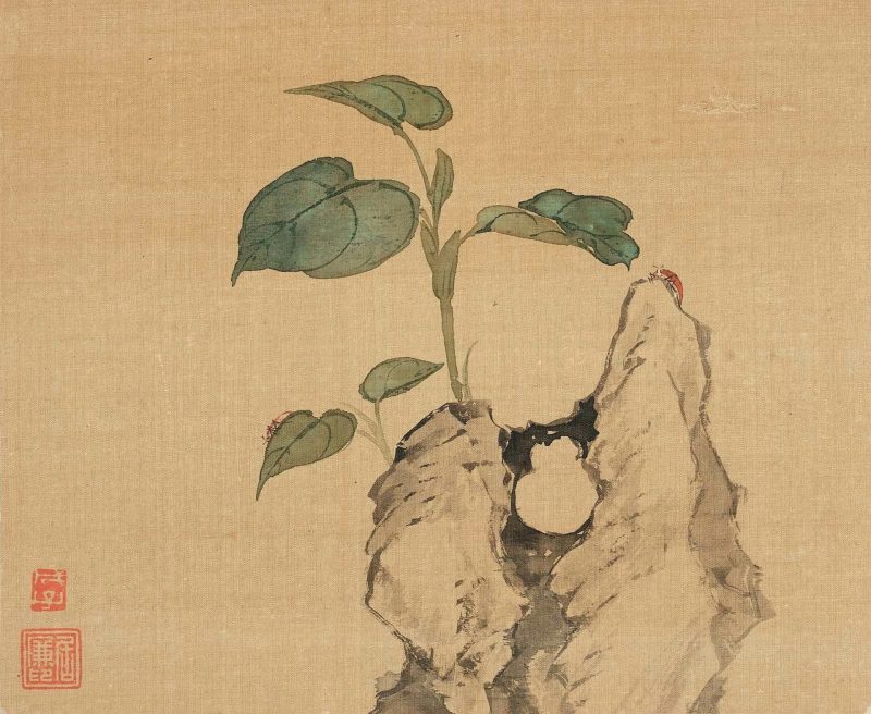 花卉奇石册
