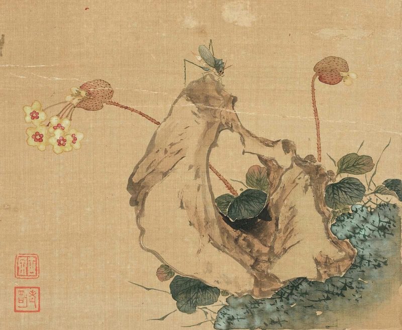 花卉奇石册