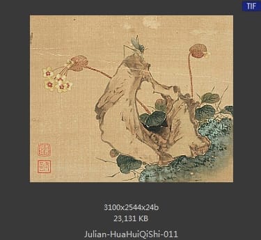 居廉-花卉奇石册