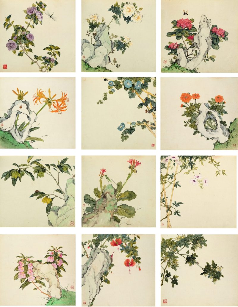花卉虫草