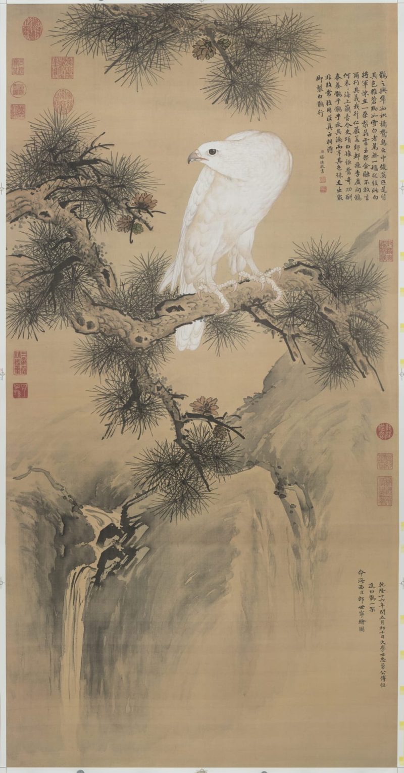 白鹰图