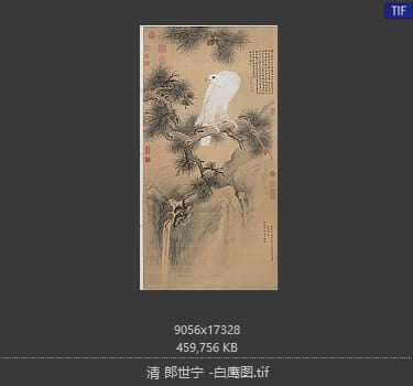 郎世宁-白鹰图