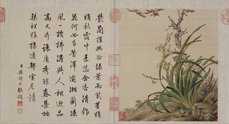 工笔重彩花卉册