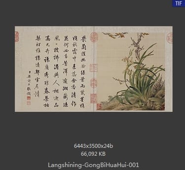 郎世宁-工笔重彩花卉册