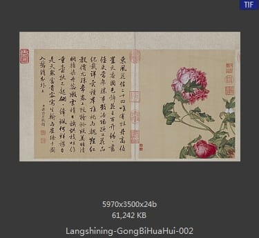 郎世宁-工笔重彩花卉册