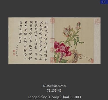 郎世宁-工笔重彩花卉册