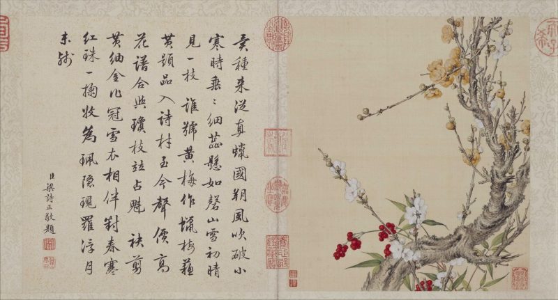 工笔重彩花卉册