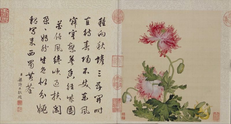 工笔重彩花卉册