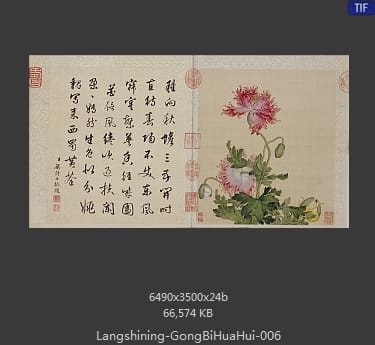 郎世宁-工笔重彩花卉册
