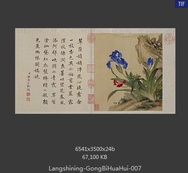 郎世宁-工笔重彩花卉册