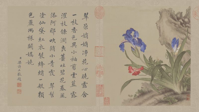 花鸟图册