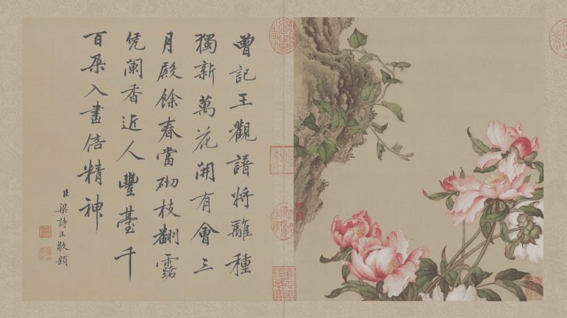 花鸟图册
