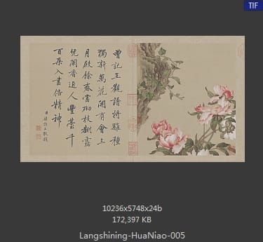 郎世宁-花鸟图册