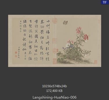 郎世宁-花鸟图册