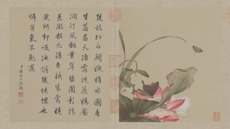 花鸟图册
