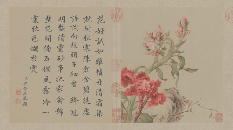 花鸟图册