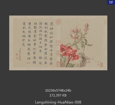 郎世宁-花鸟图册