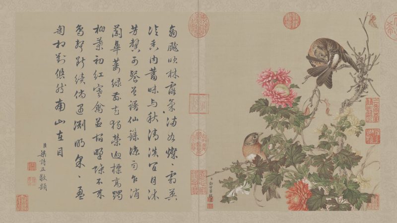 花鸟图册