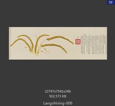 郎世宁-郎世宁作品