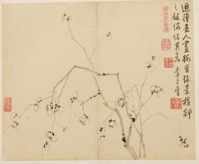 梅花