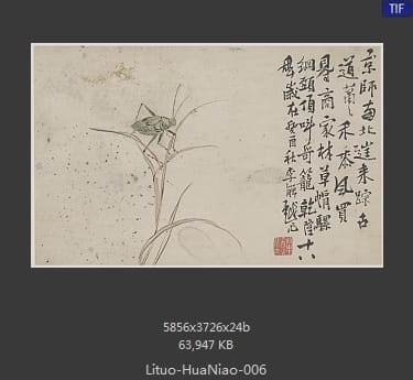 李鱓-花鸟十二开