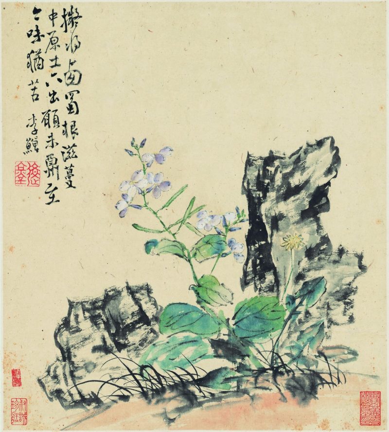 花卉十二开