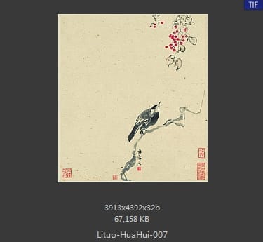 李鱓-花卉十二开