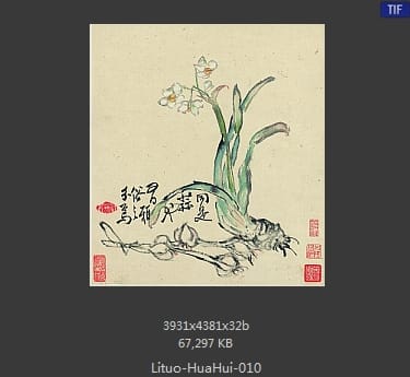 李鱓-花卉十二开