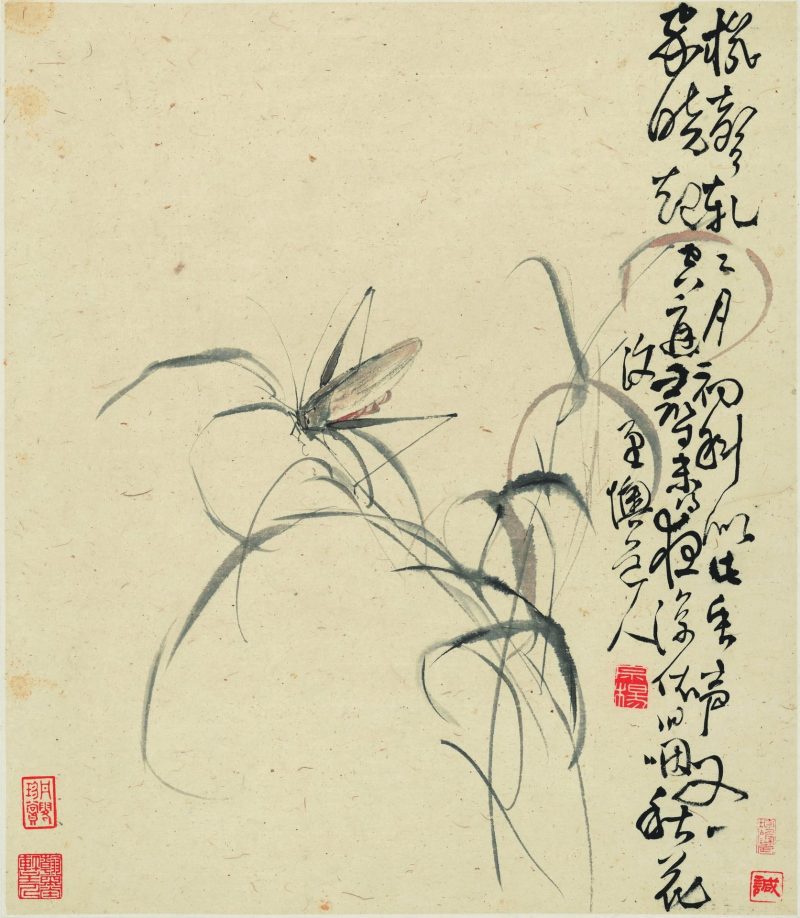 花卉十二开