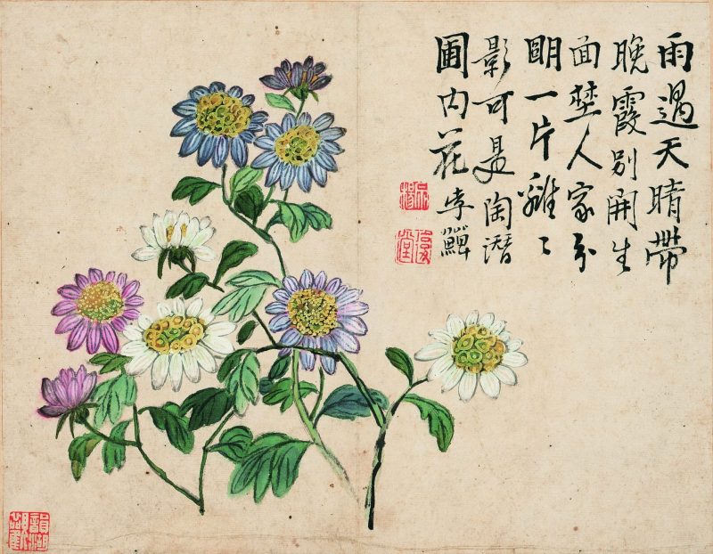 花卉十二开
