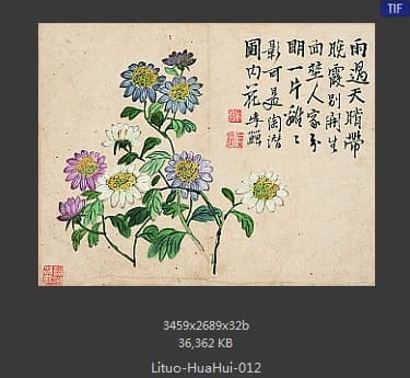 李鱓-花卉十二开