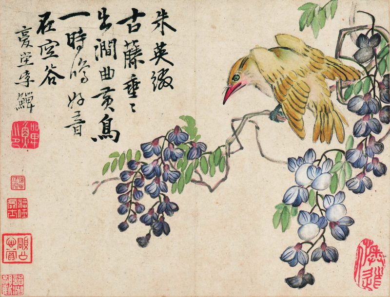 花鸟册十开