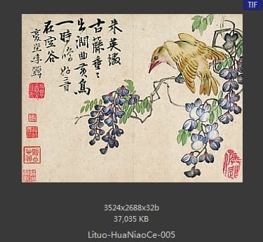 李鱓-花鸟册十开