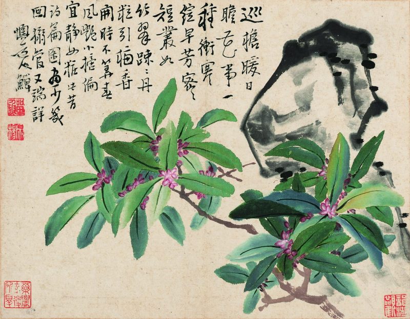 花鸟册十开
